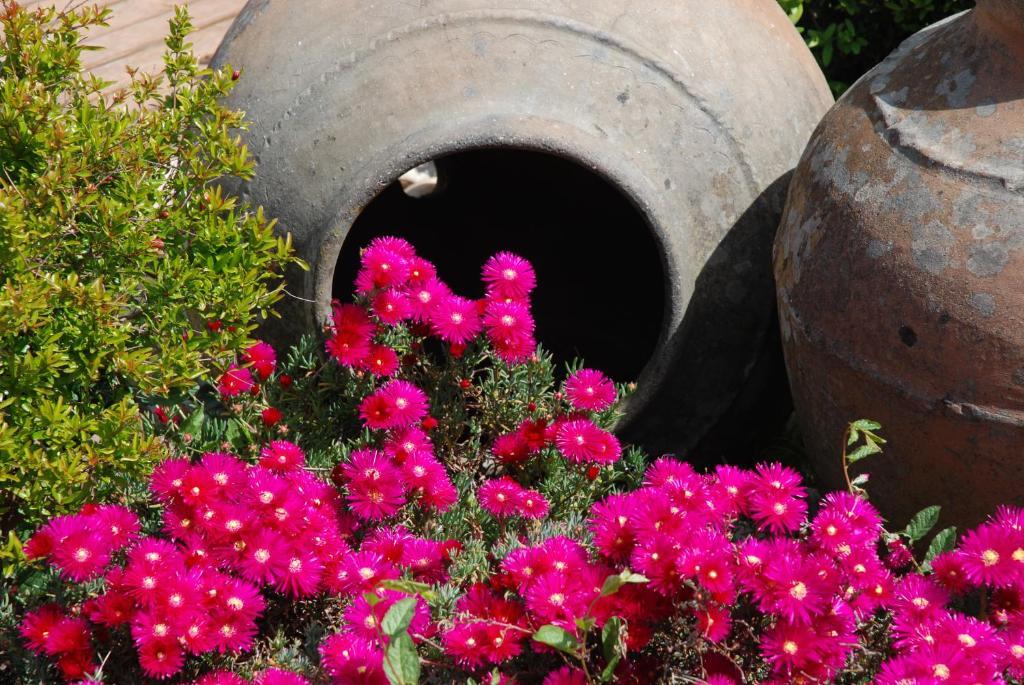 A Flor Da Rosa Hotel Crato Luaran gambar